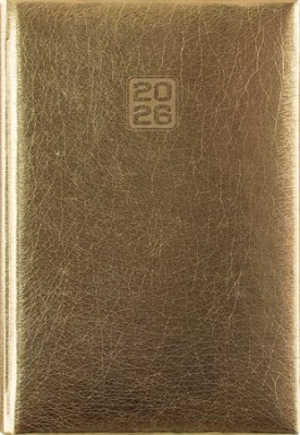 Naptár, tervező, B6, heti, DAYLINER, "Mirror", arany